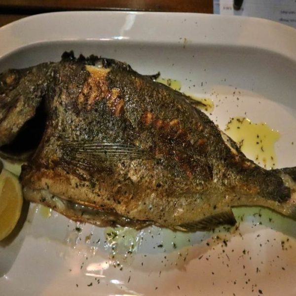 Dorade Royal